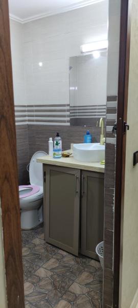 رياض النخيل
